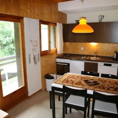 Pet-friendly In Apartment *